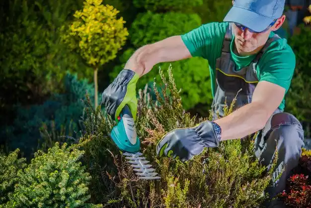 landscaping services Williamsburg